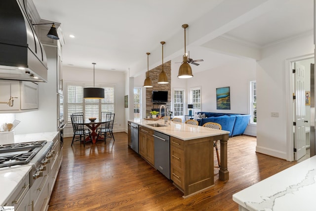 kitchen featuring a spacious island, stainless steel appliances, and plenty of natural light