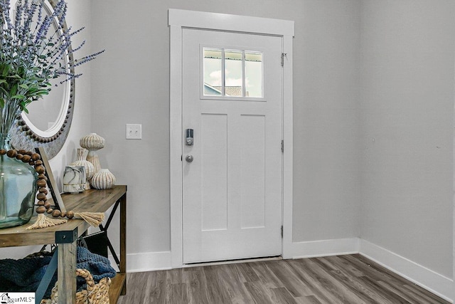 entrance foyer with wood-type flooring