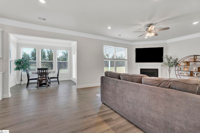 living room featuring ornamental molding, hardwood / wood-style floors, a healthy amount of sunlight, and ceiling fan