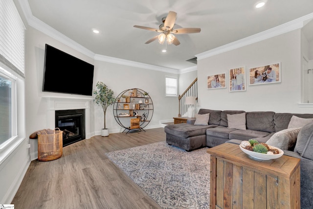 living room with crown molding, hardwood / wood-style floors, and ceiling fan