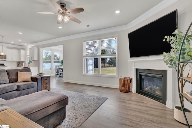 living room with a wealth of natural light, ornamental molding, light hardwood / wood-style flooring, and ceiling fan