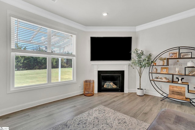 living room featuring light hardwood / wood-style floors, ornamental molding, and plenty of natural light