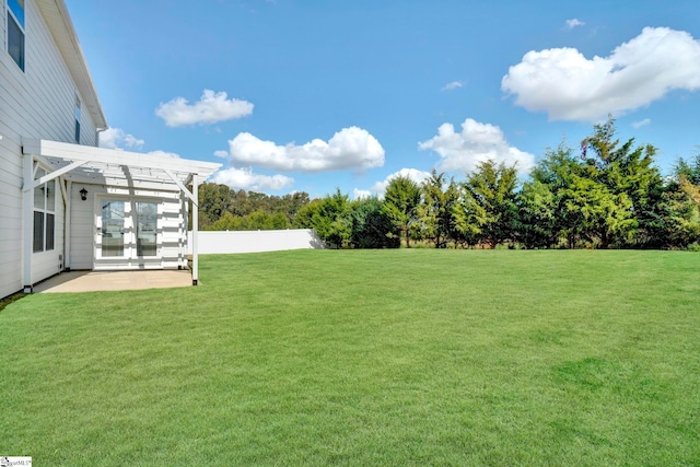 view of yard featuring a patio