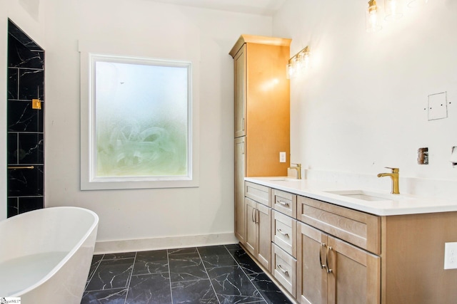 bathroom featuring vanity and a bathing tub