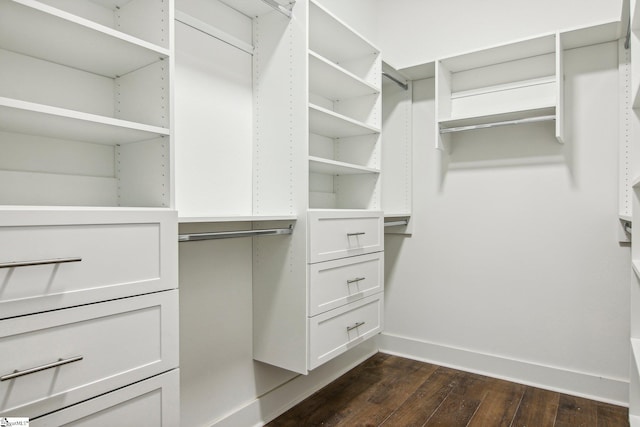 walk in closet featuring dark hardwood / wood-style floors