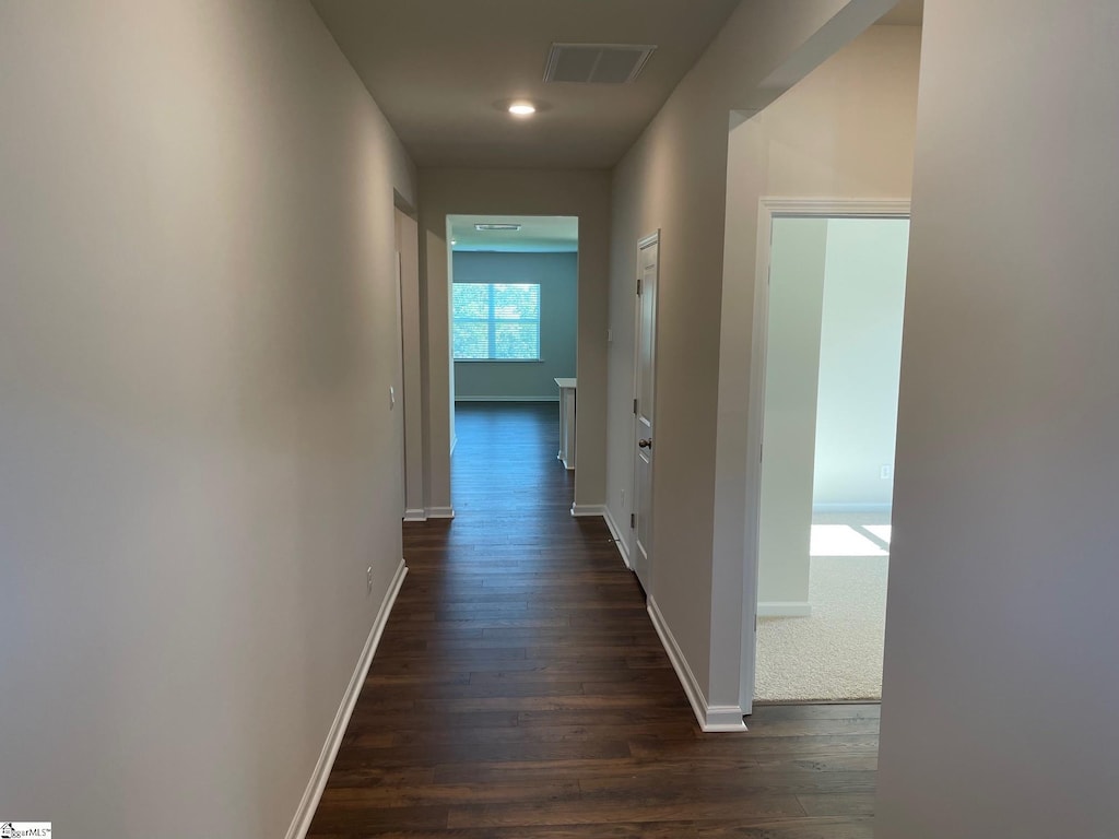 hall featuring dark wood-type flooring