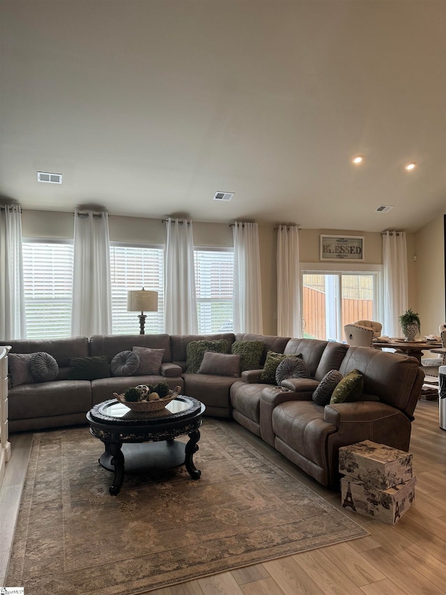 living room featuring hardwood / wood-style flooring and a healthy amount of sunlight