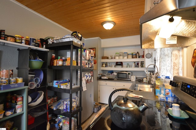 kitchen featuring sink, crown molding, and wood ceiling