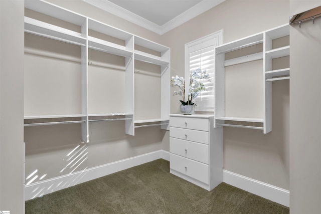 spacious closet with dark carpet