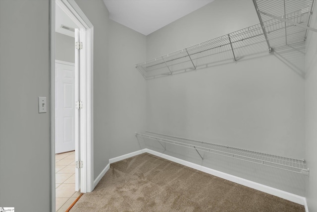 walk in closet with carpet floors