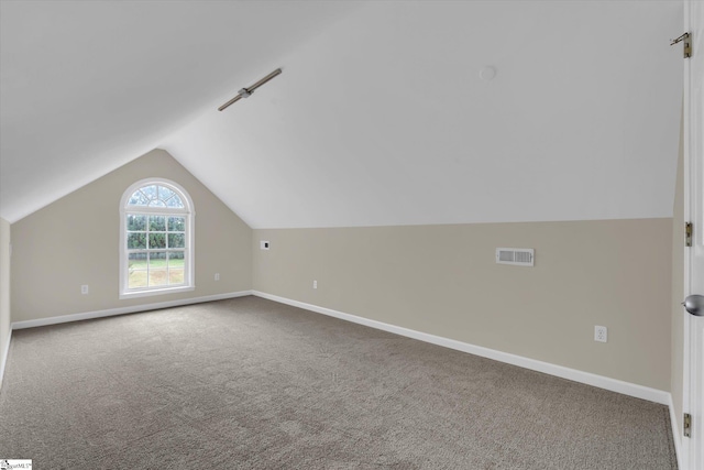 additional living space featuring carpet and vaulted ceiling