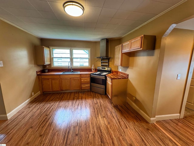 kitchen featuring wall chimney exhaust hood, sink, stainless steel electric stove, and light hardwood / wood-style floors