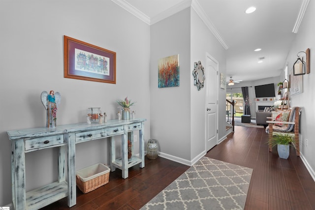 hall featuring ornamental molding and dark hardwood / wood-style floors