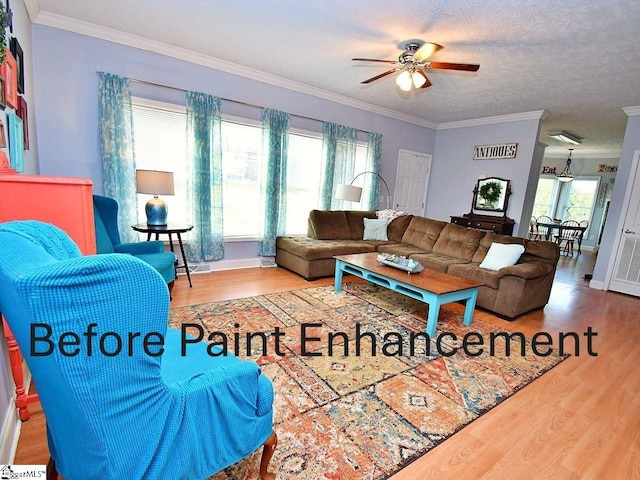 living room featuring a textured ceiling, wood-type flooring, ceiling fan, and crown molding