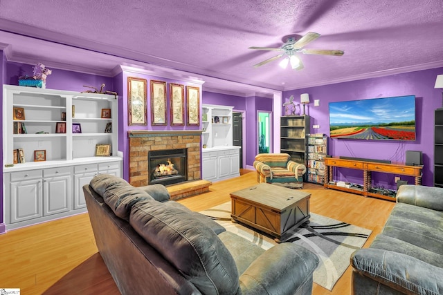 living room with a textured ceiling, light hardwood / wood-style flooring, and crown molding