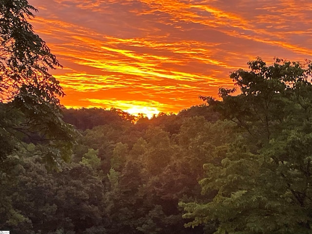 view of nature at dusk