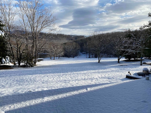 view of snowy yard