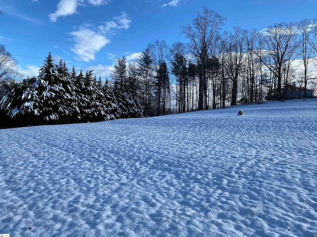 view of yard layered in snow