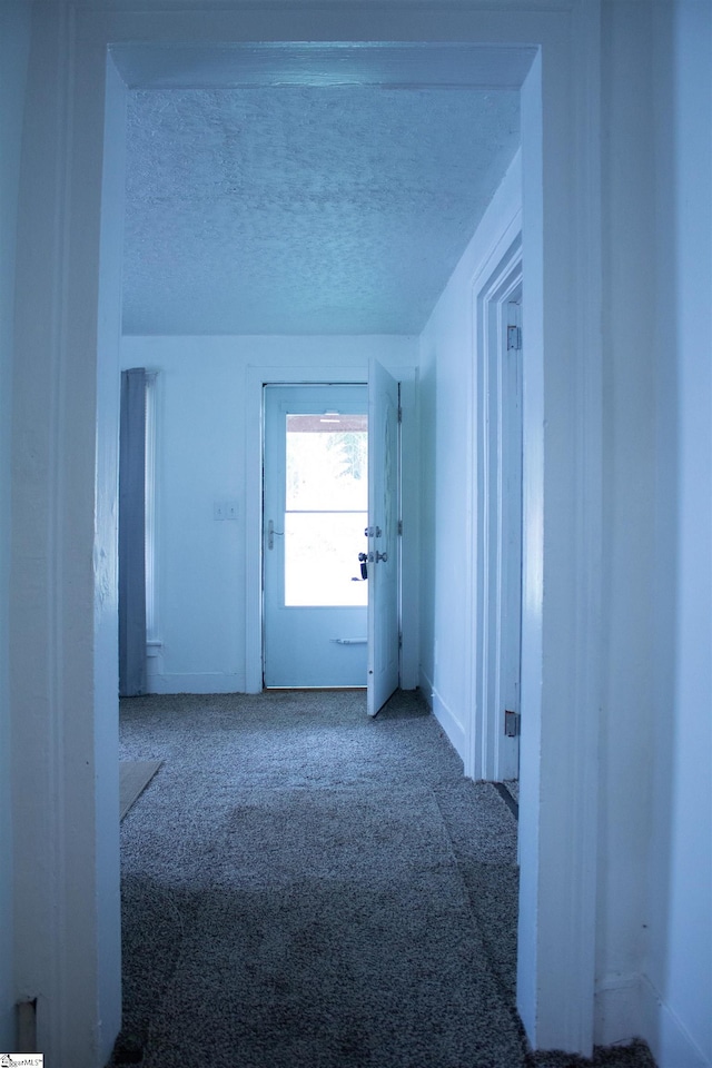 empty room featuring a textured ceiling and carpet flooring