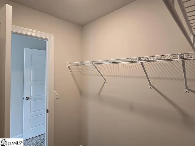 view of walk in closet