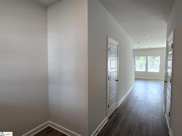 hall featuring dark hardwood / wood-style flooring