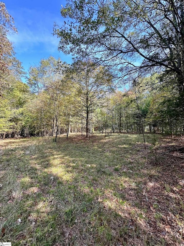 Listing photo 3 for 0 Terrapin Rd, Union SC 29379