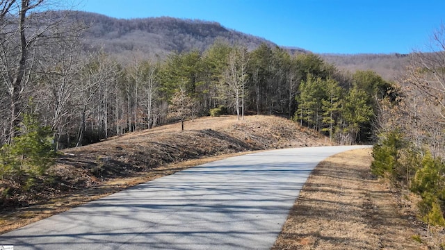 property view of mountains