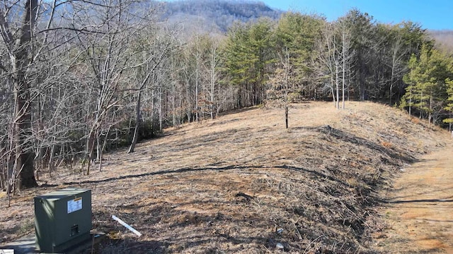 view of local wilderness