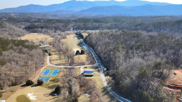 birds eye view of property featuring a mountain view