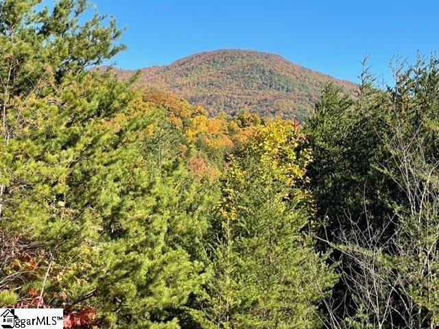 view of mountain feature