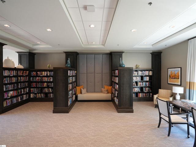 office featuring a tray ceiling and light colored carpet