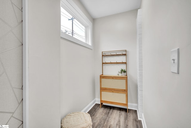 interior space featuring wood-type flooring