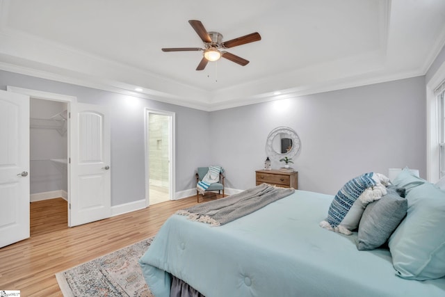 bedroom featuring ornamental molding, ceiling fan, a walk in closet, a closet, and light wood-type flooring