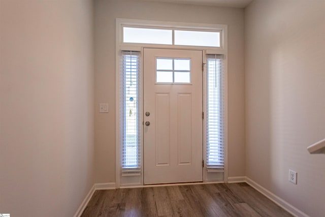 foyer featuring dark hardwood / wood-style floors