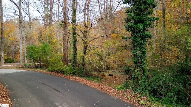 Listing photo 2 for 184 Laurel And Hardy Lake Rd, Marietta SC 29661