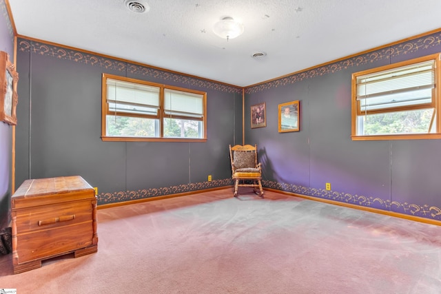 unfurnished room with carpet flooring