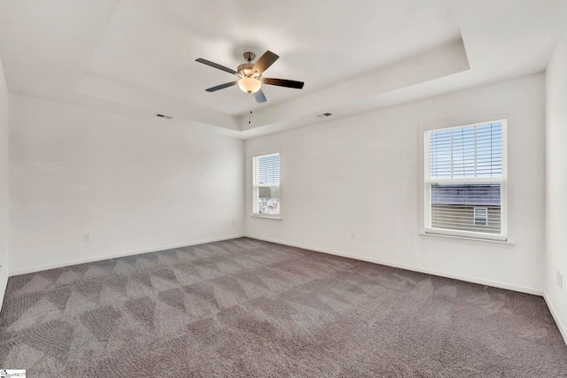 carpeted empty room with a healthy amount of sunlight and a raised ceiling