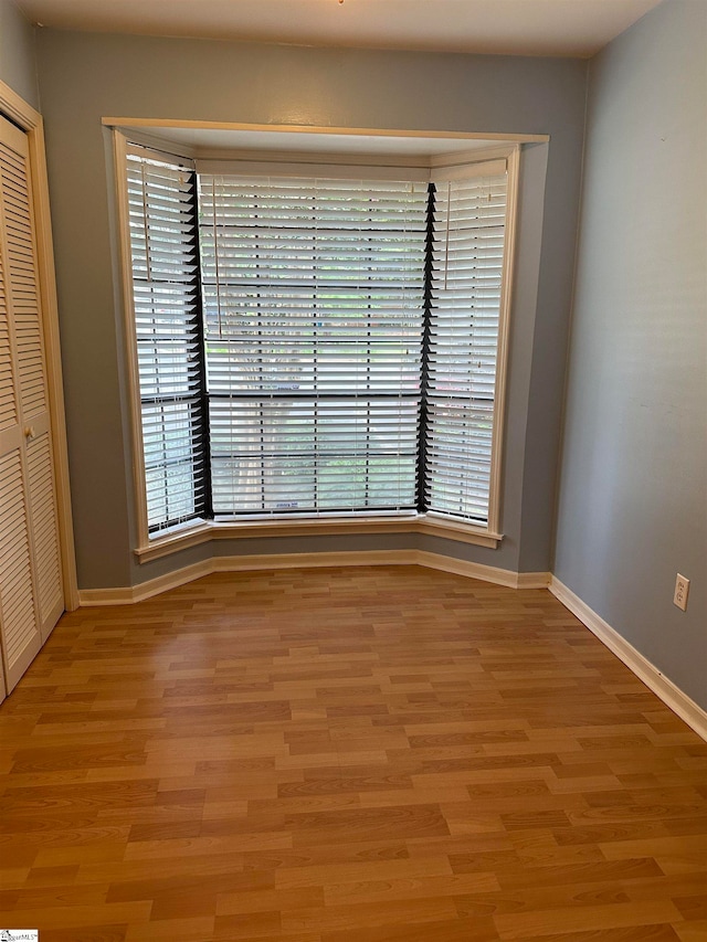 unfurnished room featuring plenty of natural light and light hardwood / wood-style floors