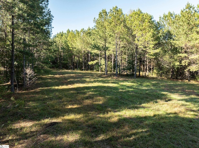 1 Rogerstown Rd, Union SC, 29353 land for sale