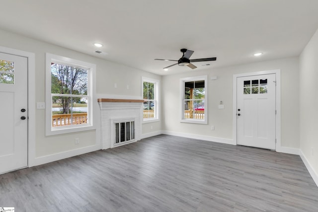 entryway with a fireplace, wood-type flooring, and plenty of natural light