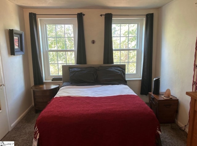 bedroom featuring multiple windows and carpet