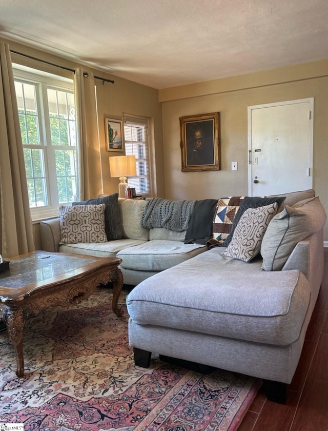 living room featuring wood-type flooring and a textured ceiling