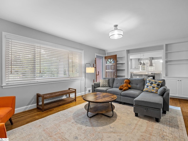 living room featuring light hardwood / wood-style floors and built in features