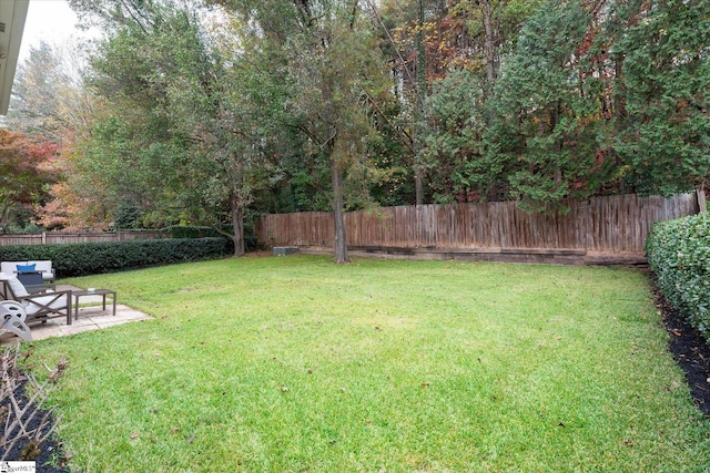 view of yard with a patio area