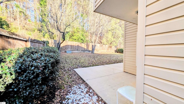 view of yard featuring a patio area