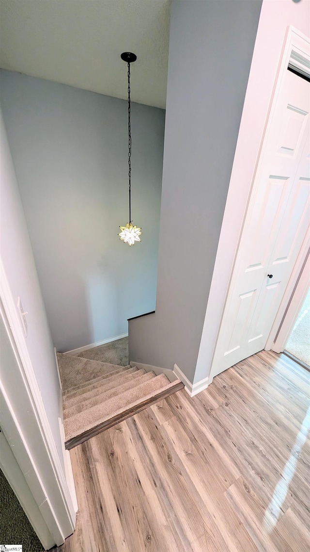 stairway featuring hardwood / wood-style floors