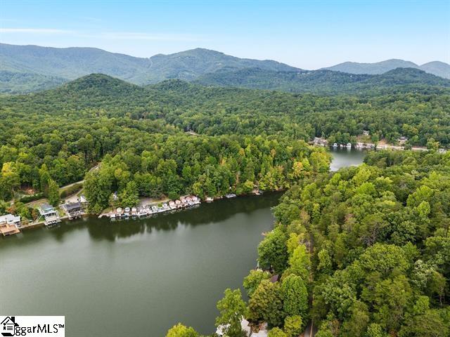 drone / aerial view with a water and mountain view