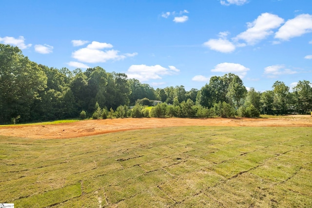 view of yard with a rural view