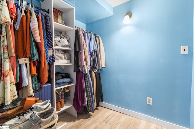 walk in closet with radiator heating unit and light hardwood / wood-style flooring