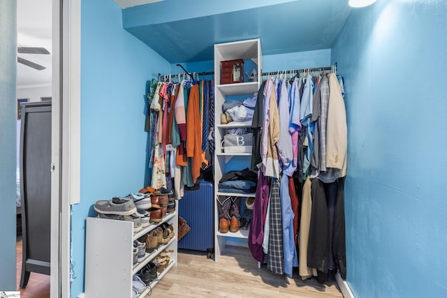 walk in closet featuring hardwood / wood-style floors and ceiling fan